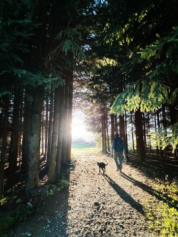 Soutěžní obrázek