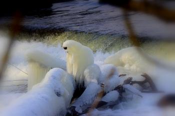 Soutěžní obrázek