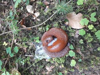 Soutěžní obrázek