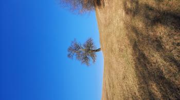 Soutěžní obrázek