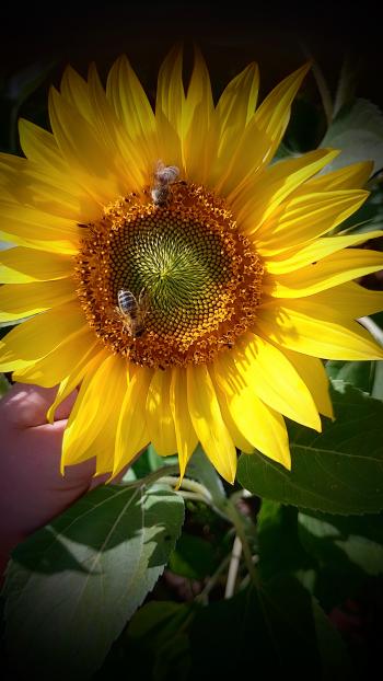 Soutěžní obrázek