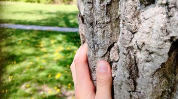 Soutěžní obrázek