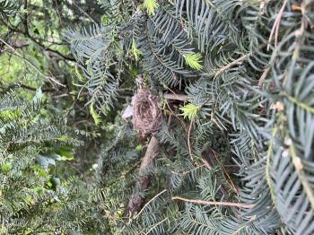 Soutěžní obrázek