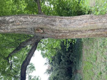 Soutěžní obrázek