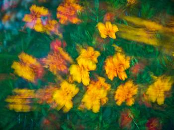 Soutěžní obrázek