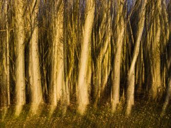 Soutěžní obrázek