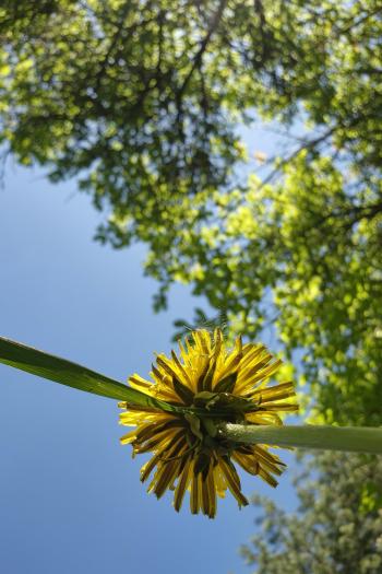 Soutěžní obrázek