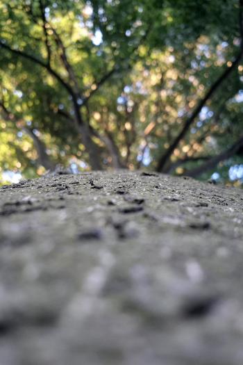 Soutěžní obrázek