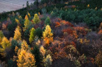 Soutěžní obrázek