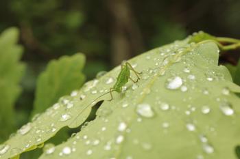 Soutěžní obrázek