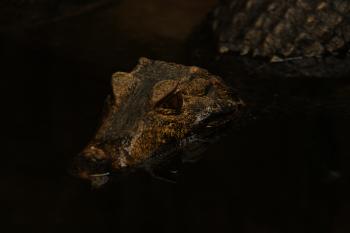 Soutěžní obrázek