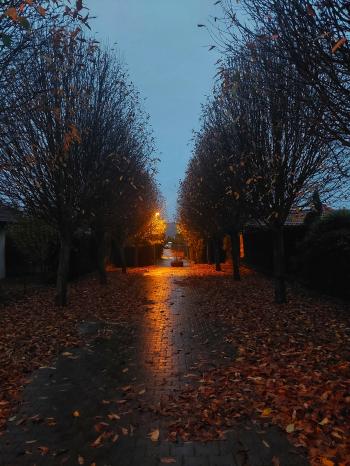 Soutěžní obrázek