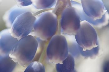 Soutěžní obrázek