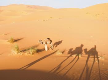 Soutěžní obrázek