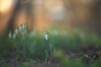 Soutěžní obrázek