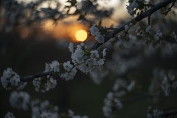 Soutěžní obrázek