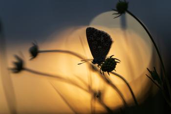 Soutěžní obrázek