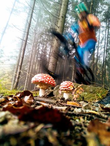 Soutěžní obrázek