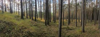 Soutěžní obrázek