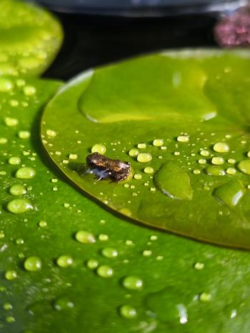 Soutěžní obrázek