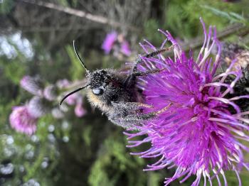 Soutěžní obrázek