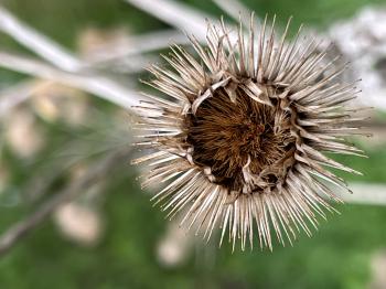 Soutěžní obrázek