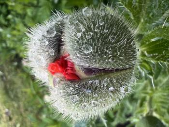 Soutěžní obrázek