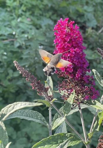 Soutěžní obrázek