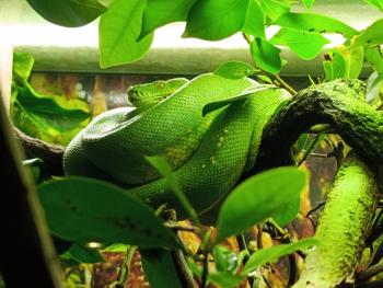 Soutěžní obrázek