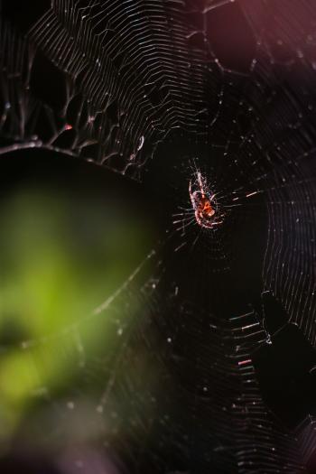 Soutěžní obrázek